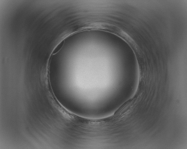X0000073511378200607311307