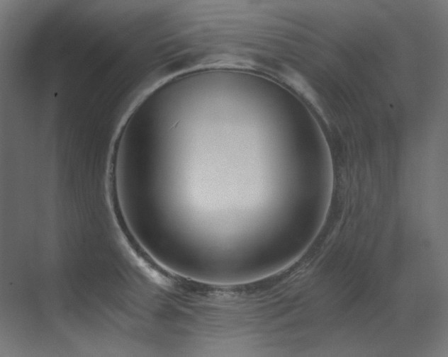 X0000073511379200607311307
