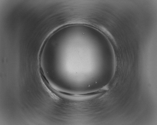 X0000073511380200607311307