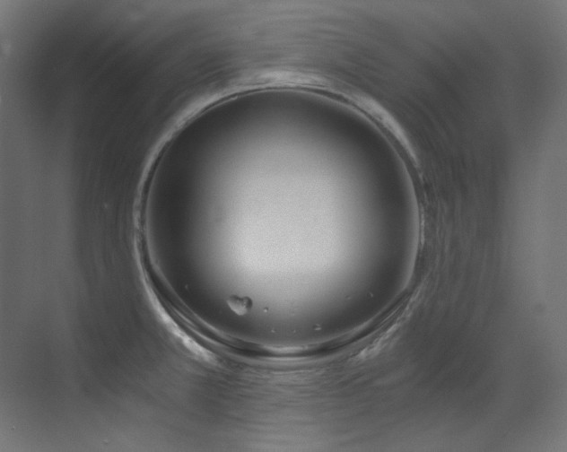 X0000073511381200607311307