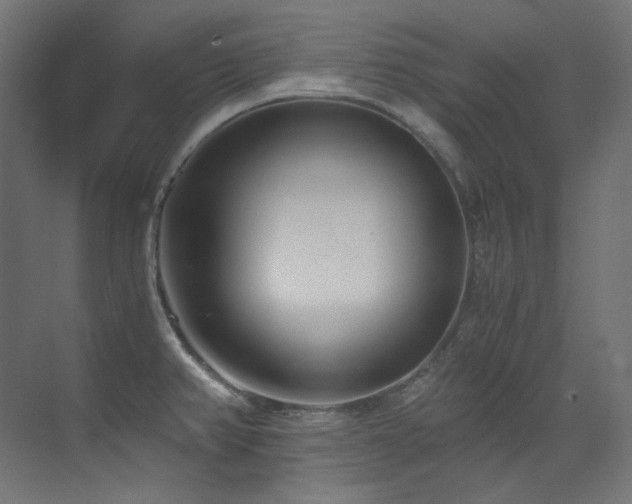 X0000073511382200607311307