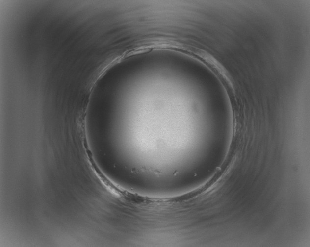 X0000073511385200607311307