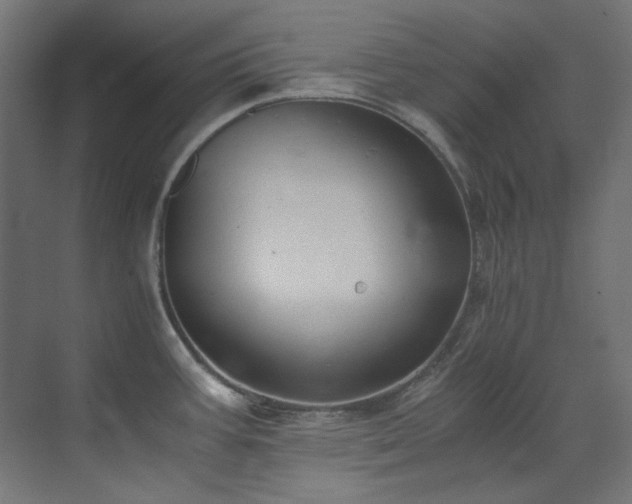 X0000073511387200607311307