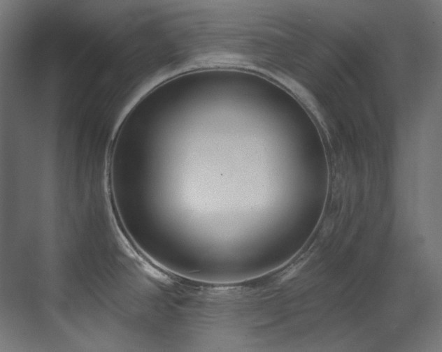 X0000073511390200607311307