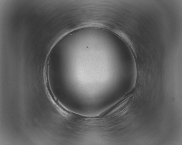 X0000073511391200607311307