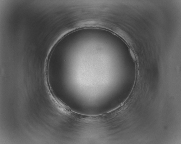 X0000073511392200607311307