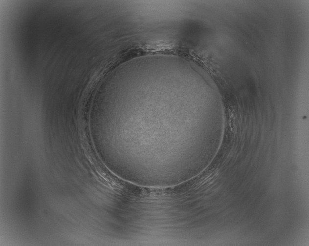 X0000073511393200607311306