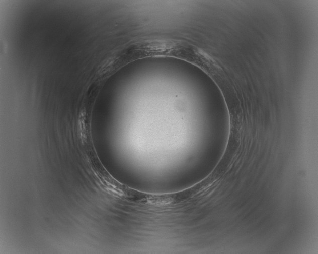 X0000073511394200607311306