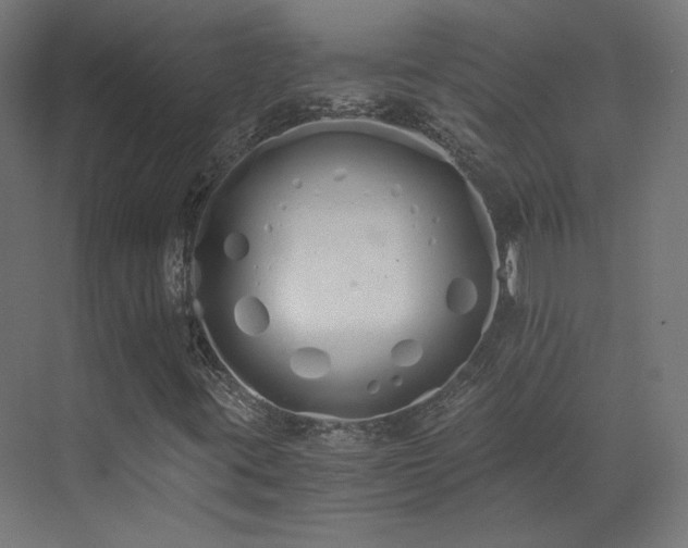 X0000073511395200607311306