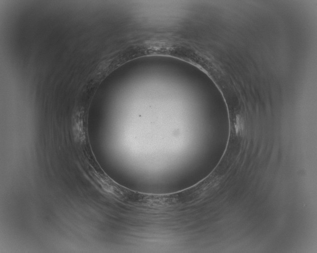 X0000073511396200607311306