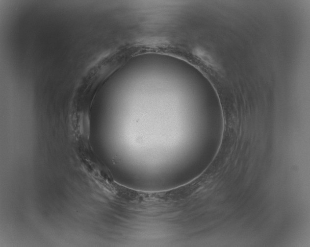 X0000073511398200607311306