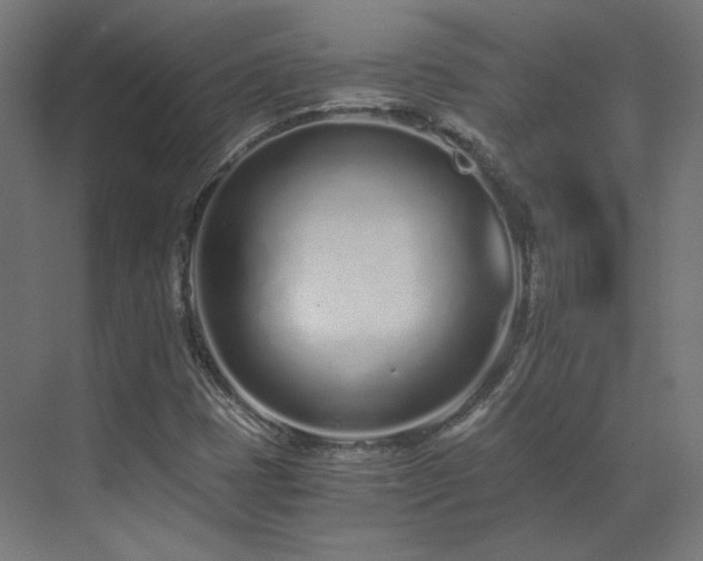 X0000073511401200607311306
