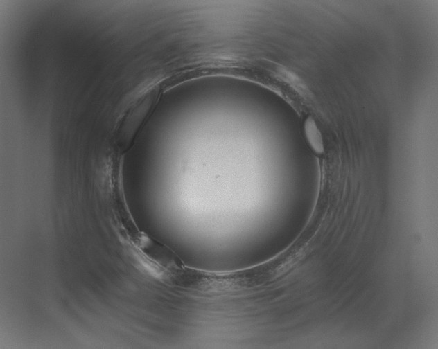 X0000073511402200607311306