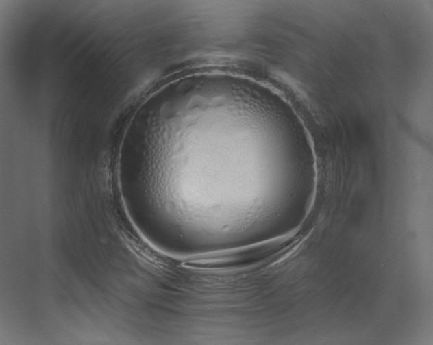X0000073511403200607311306