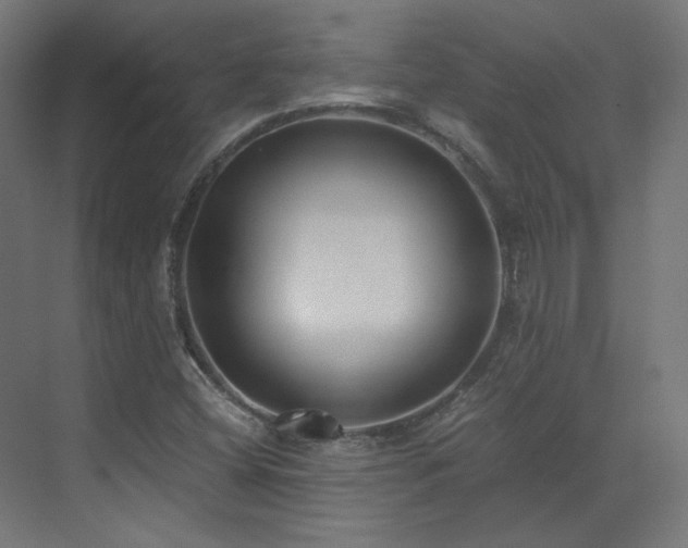 X0000073511404200607311306