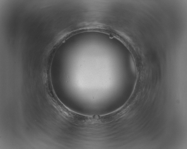 X0000073511407200607311306