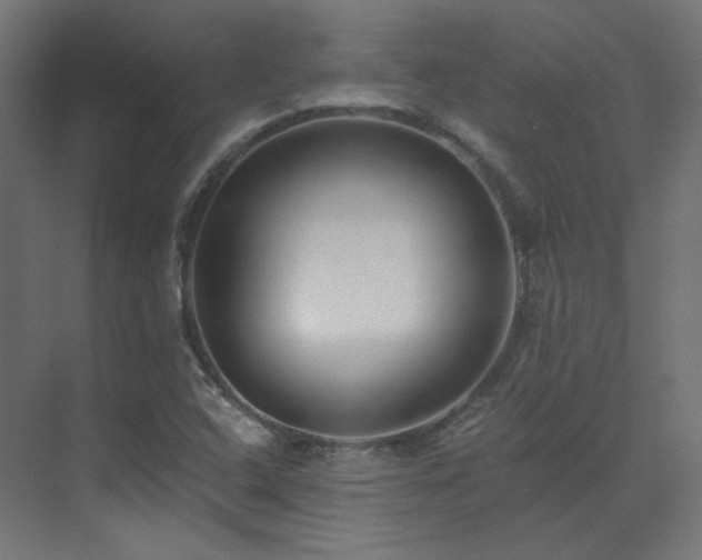 X0000073511408200607311306