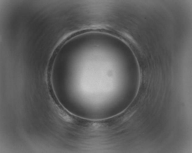 X0000073511412200607311306