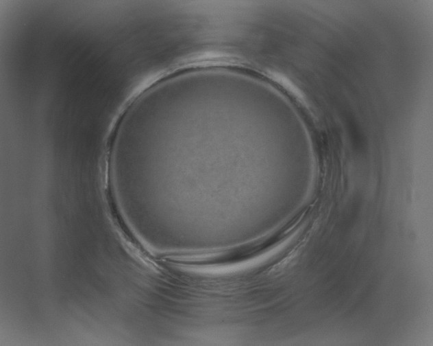 X0000073511413200607311307