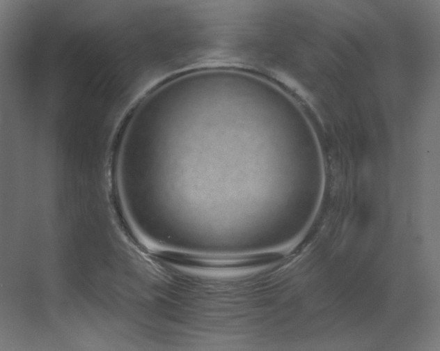 X0000073511415200607311307