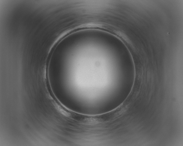 X0000073511420200607311307