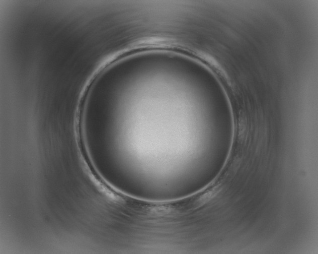 X0000073511421200607311307