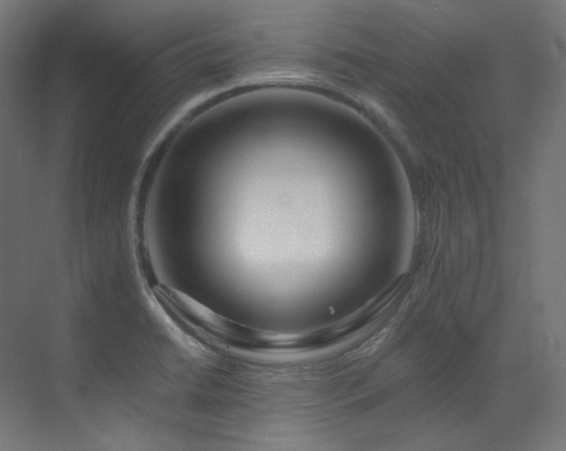 X0000073511422200607311307