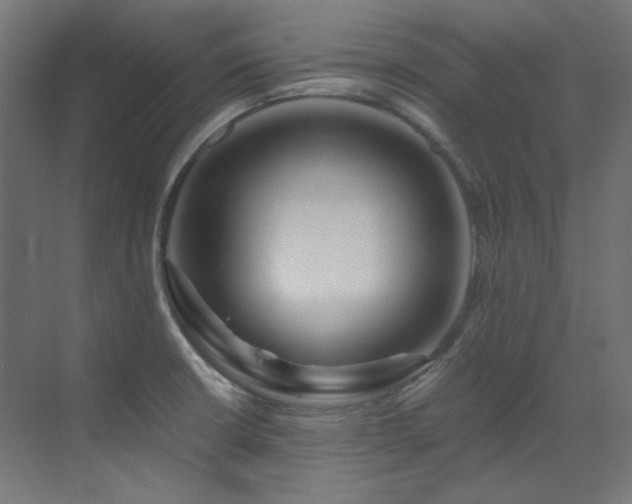X0000073511426200607311307