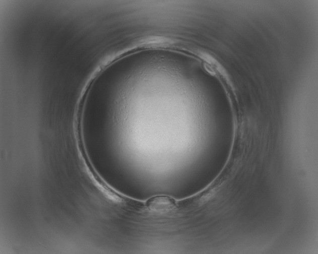 X0000073511429200607311307