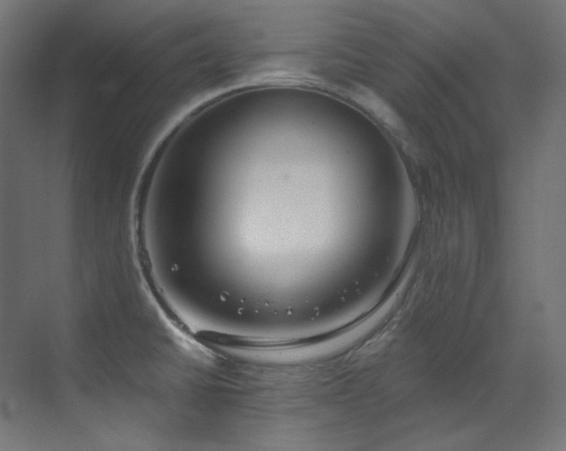X0000073511430200607311307