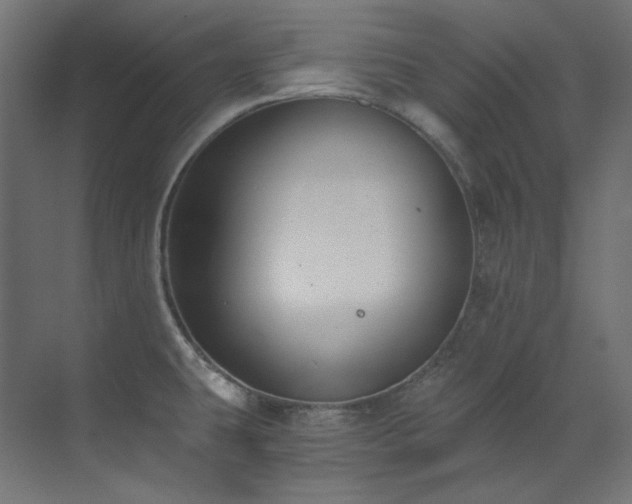 X0000073511431200607311307