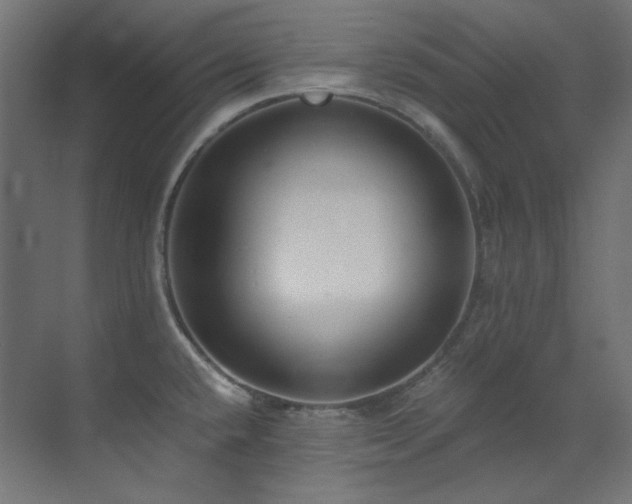 X0000073511432200607311307