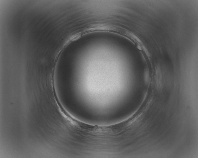X0000073511433200607311307