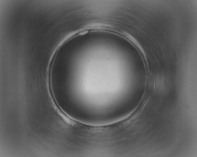 X0000073511437200607311307