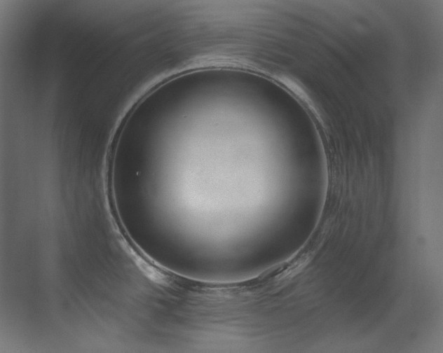 X0000073511438200607311307
