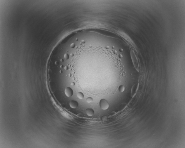 X0000073511439200607311307