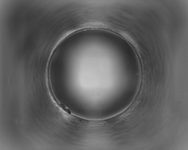 X0000073511440200607311307