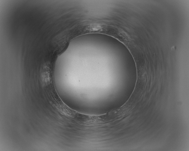 X0000073511442200607311306