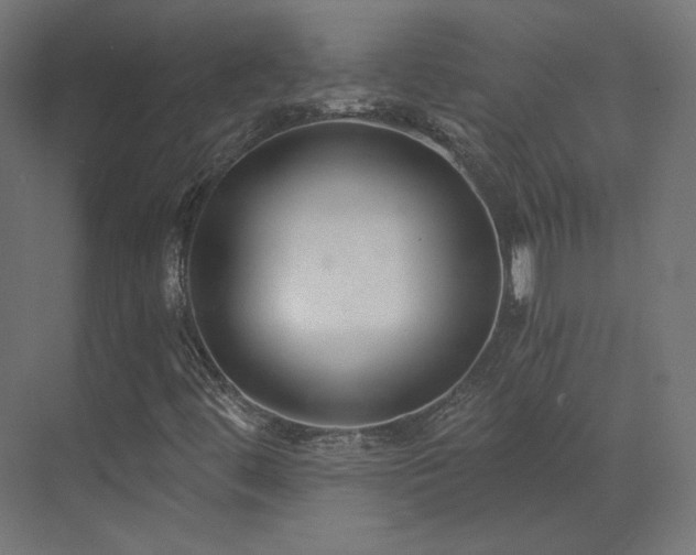 X0000073511444200607311306