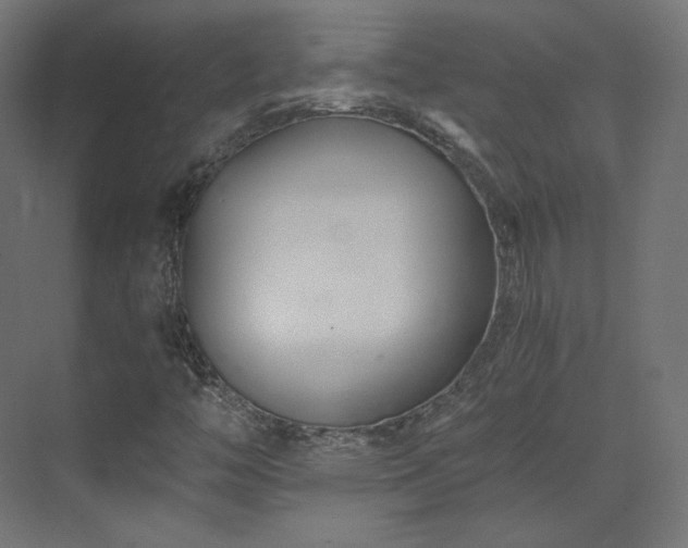 X0000073511446200607311306
