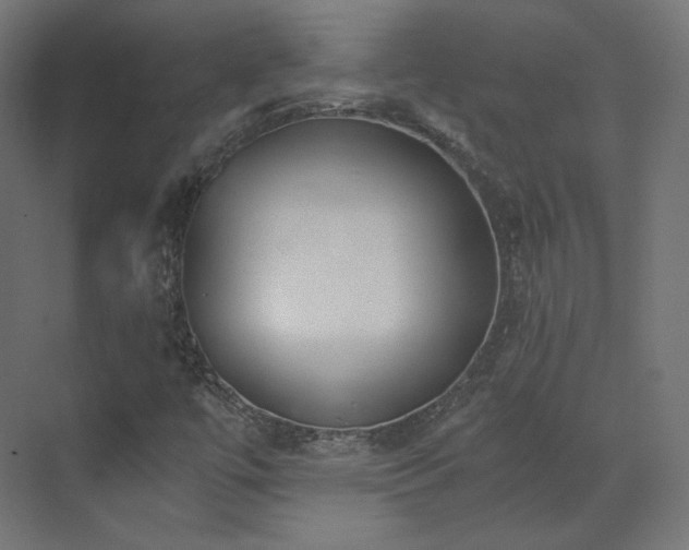 X0000073511447200607311306