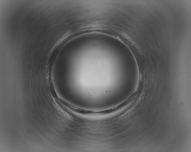 X0000073511450200607311306