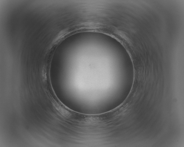 X0000073511451200607311306