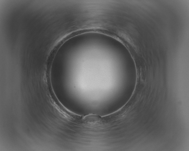 X0000073511452200607311306