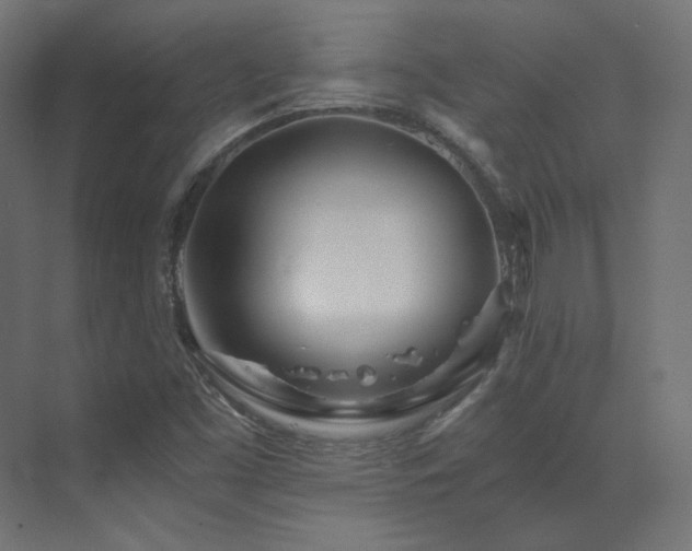 X0000073511453200607311306