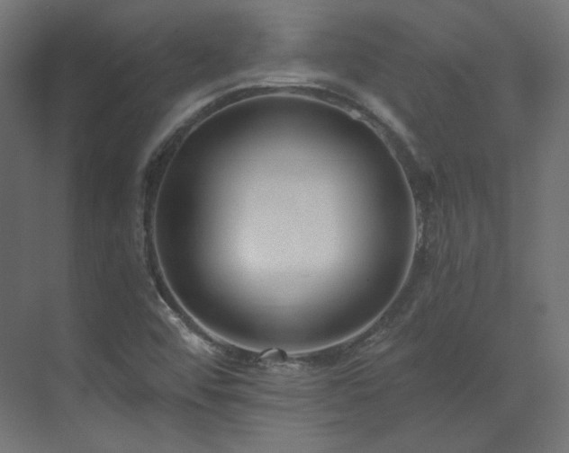 X0000073511456200607311306