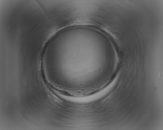 X0000073511459200607311306