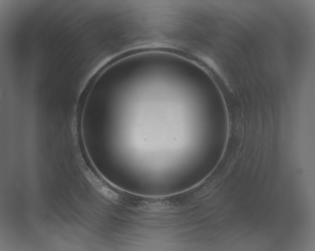 X0000073511460200607311306