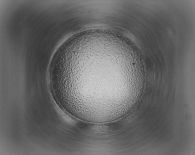 X0000073511466200607311306