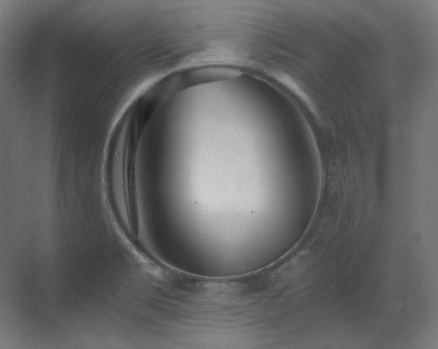 X0000073511469200607311306